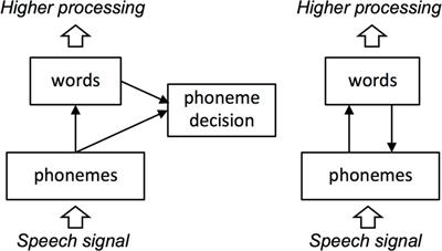 Interaction in Spoken Word Recognition Models: Feedback Helps